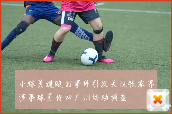 小球员遭殴打事件引发关注张家界涉事球员将回广州协助调查