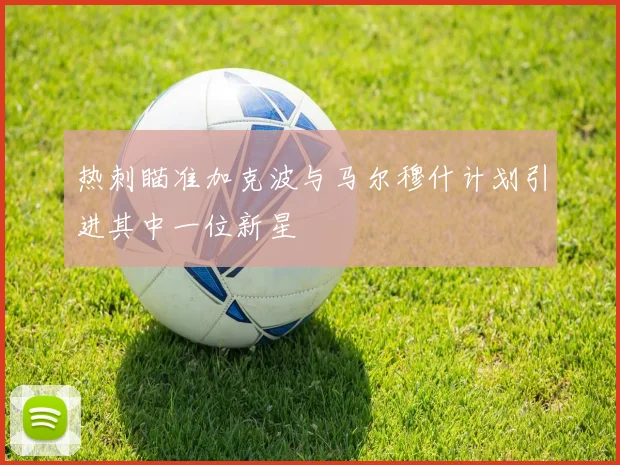 热刺瞄准加克波与马尔穆什计划引进其中一位新星