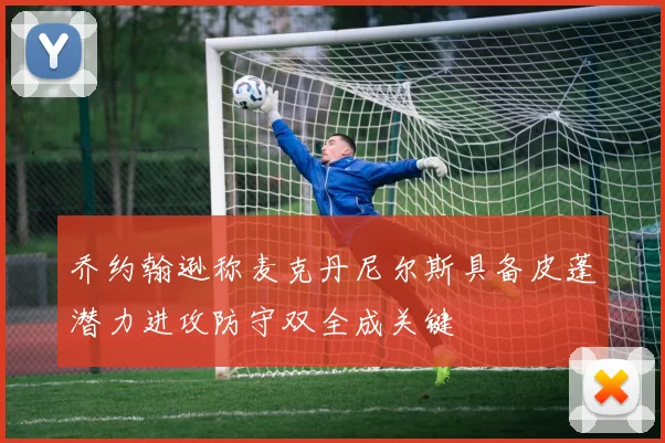 乔约翰逊称麦克丹尼尔斯具备皮蓬潜力进攻防守双全成关键